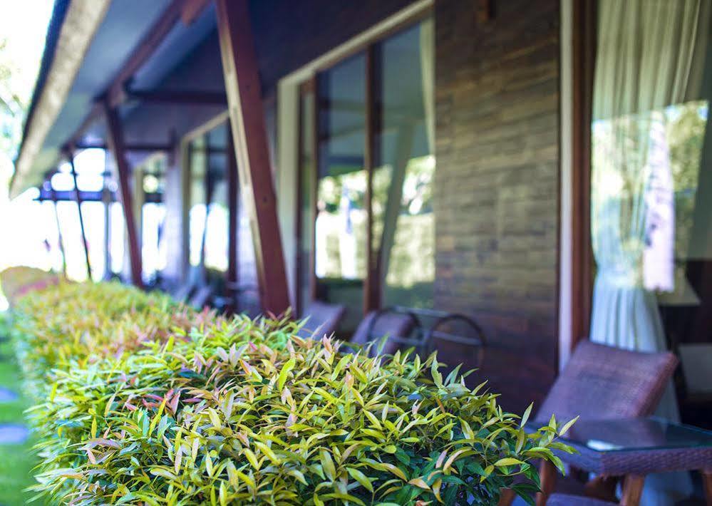 Big Brother Surf Inn Canggu Eksteriør bilde
