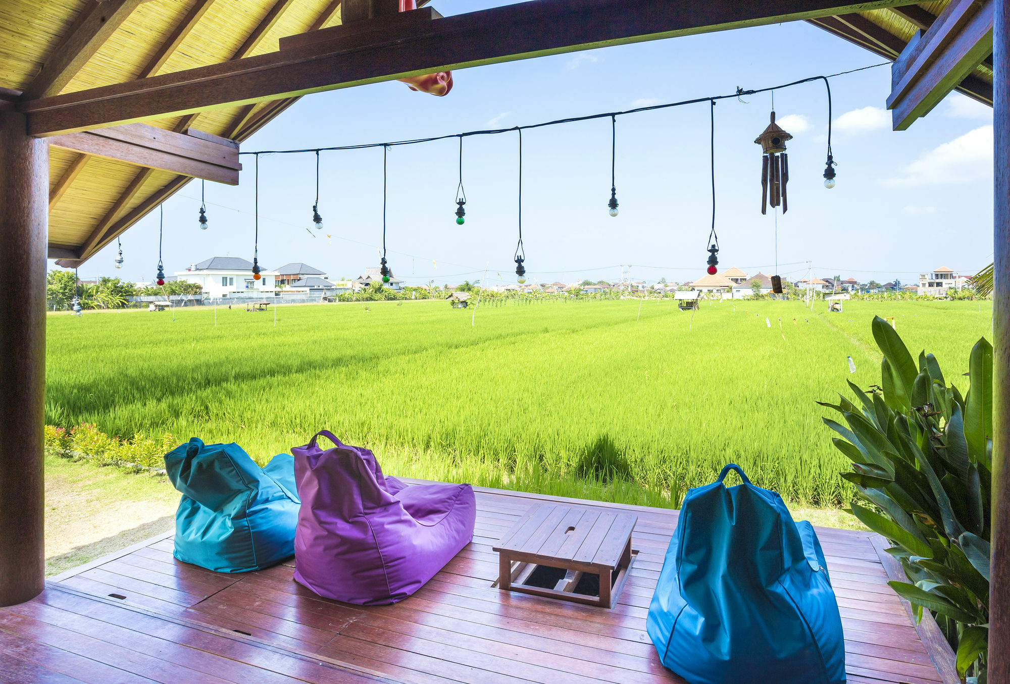 Big Brother Surf Inn Canggu Eksteriør bilde