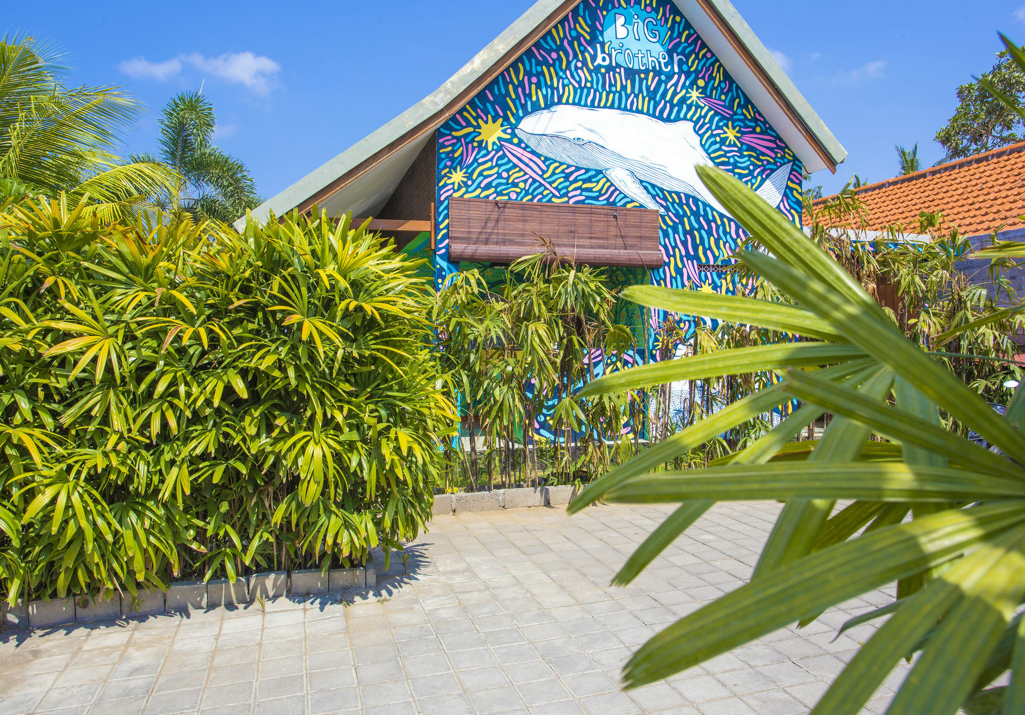 Big Brother Surf Inn Canggu Eksteriør bilde